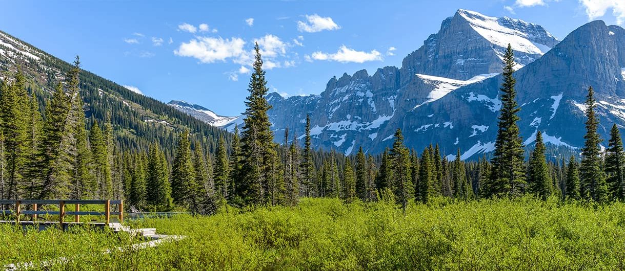 A beautiful view of a green forest with snow peaked mountains in the background in Big Sky, Montana